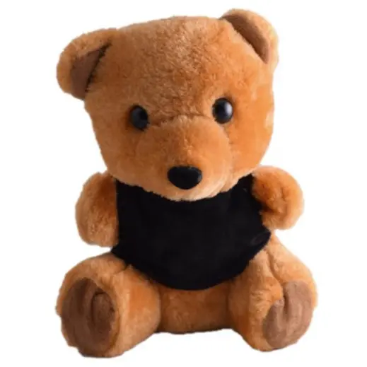Teddy Plush Toy Black-Brown Front